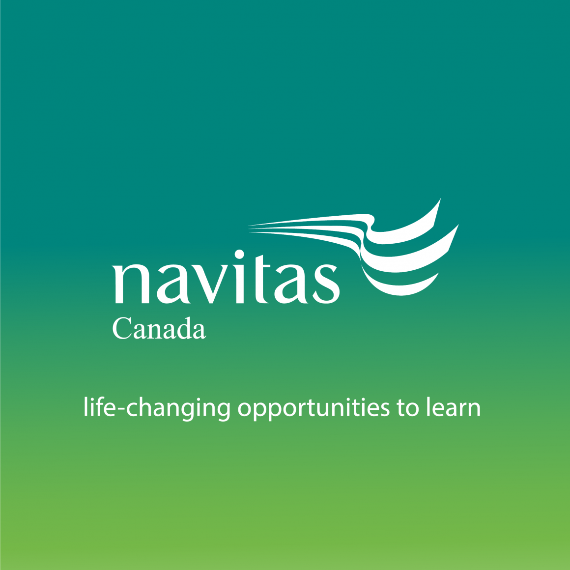 Navitas DP