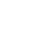diploma-icon diploma-icon
